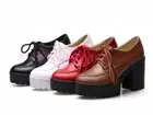 Goth Women Chunky Lolita High Block Heels Mary Janes Lace Up Platform Shoes Size