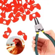 61 Pcs Chicken Pinless Peepers with Pliers Anti Pecking Pheasant Eye Glasses
