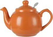 Farmhouse Teapot with Infuser Ceramic Orange 2 Cup 600 ml |AU Free Shipping
