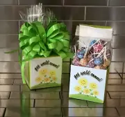 Get Well Soon Dum-Dum Lollipops Gift Basket-Box Wrapped With Green Bow