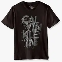 在飛比找Yahoo!奇摩拍賣優惠-2023夏正品Calvin Klein男孩t恤青少年吸汗上衣