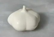 Tupperware - Garlic Keeper - Refrigerator Magnet - White