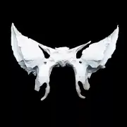 Anatomical Human Sphenoid Bone Model - Medical Cranial Base Skeleton Anatomy