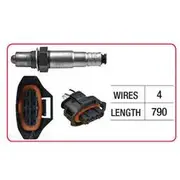 RAE Oxygen Sensor - OX382