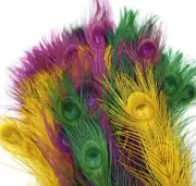 15 Pcs BLEACHED PEACOCK TAILS - ASSORTED Colors Feathers 10-12" Bridal/Halloween