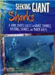 Seeking Giant Sharks ─ A Shark Diver's Quest for Whale Sharks, Basking Sharks, and Manta Rays