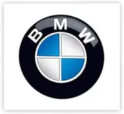 BMW Key FOB Roundel Emblem 11MM 66122155753