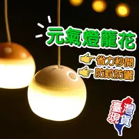 在飛比找蝦皮商城精選優惠-🔥現貨免運🔥 燈籠花露營燈 露營氣氛燈 帳篷燈 蘋果燈 露營