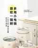 楓林宜居 廠家直銷多功能一體電熱鍋迷你小功率電煮鍋學生宿舍煮面小電鍋