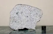 NWA 14643 - 32,4g - HED Eucrite-pmict - Meteorite