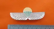 Ciskei Africa Paratrooper Para Jump Wing Badge