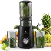 Cold Press Juicer, Masticating Juicer with 4.25'' Large Feed Chute, 250W Juic...