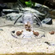 Clear Plastic Aquarium Snail Trap Fish Tank Pest Catcher Box Cleaning Tool