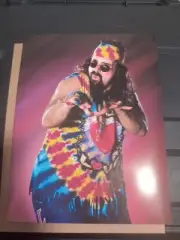 WWE Mick Foley Photo Print Do Love