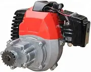 TDR 2 Stroke Pull Start Engine for Petrol Scooter Mini 49cc Pocket Rocket Bike Motor Single Cylinder, Air Cooled