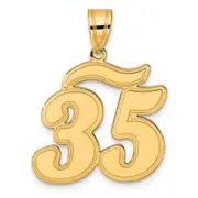 14k Yellow Gold Brushed Border Script Number 35 Pendant