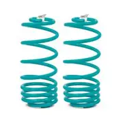 Dobinsons Coil Springs - Pair - C19-313V