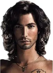Mens Wigs Dark Brown Curly Wig Heat Resistant Hair Wigs Natural Looking Wigs for Party/Daily Use WIG