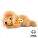 STEIFF德國金耳釦泰迪熊 - Lumpi Golden Retriever lying 狗 (動物王國)