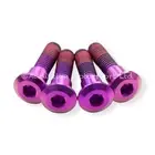 4x Triumph Speed Four Purple Titanium Rear Disc Rotor Bolts Threadlock