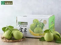 在飛比找樂天市場購物網優惠-【明年請早】藍鑽-麻豆文旦老欉禮盒10斤/箱(約13-14粒