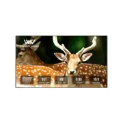 Winways UST Throw ALR 90" Fixed Frame Lenticular Screen