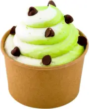 Disposable Kraft 3 Oz Ice Cream Cups - Small Hot & Cold to Go Cups - Recyclable