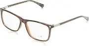 [Polaroid] Eyeglasses Unisex Adult Sunglasses