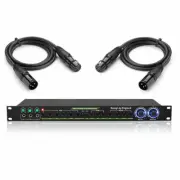 Analog Effector Two Pattern KTV Processor Home Preamplifier Effector Mic Reverb