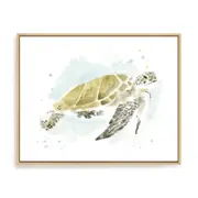 Artey | Watercolor Sea Turtle Study I - Framed Canvas - Natural Frame - 40 x 50cm