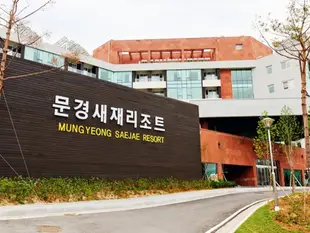 聞慶鳥嶺度假村Mungyeong Saejae Resort