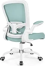FelixKing Office Chair, Ergonomic Desk Chair Breathable Mesh Chair with Adjustable High Back Lumbar Support Flip-up Armrests, Executive Rolling Swivel Comfy Task Computer Chair（Light Blue）