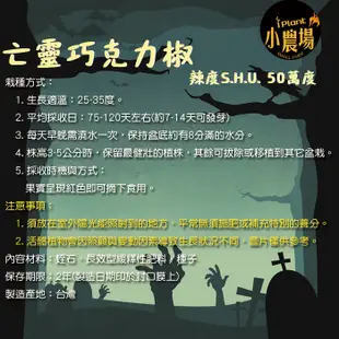 巧克力辣椒 辣椒盆栽 蔬果盆栽 iPlant 易開罐頭盆栽 花卉農場 懶人盆栽 種子 香草盆栽 台灣製