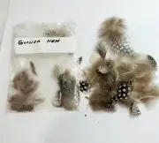 Guinea Hen Hackle Pheasant Feather EarRings Fascinator Fly tying fishing