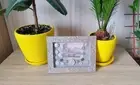 Coliseum - Souvenir collection old Roman coins/Home Decor/Glass Photo Frame/Wall