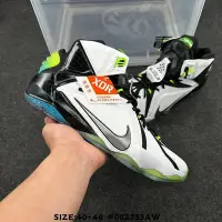 在飛比找Yahoo!奇摩拍賣優惠-Nike LeBron XXI 12 EXT P.S ALL