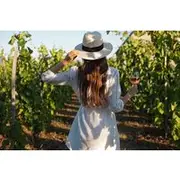 Save 20.00%! Cape Town Top range Winelands tour and Tasting