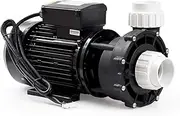 Spa Pump 2 Speed 2.5 HP WP250-II LX Pumps Whirlpool Hot Tub Swim Spa