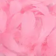 100Pcs Pink Goose Feathers - 3-5 Inches Natural Feathers for DIY Crafts - Pink F