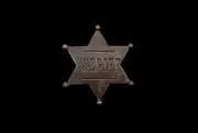 Sheriff Star Badge Costume Accessory One Size