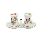 Red Breasted Robin Salt & Pepper Set Fine Bone China