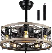 Caged Ceiling Fan with Lights Remote Control, 20'' Small Farmhouse Ceiling Fan w
