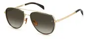 DAVID BECKHAM-DB 7068/G/S-2F7-5818-SUNGLASSES