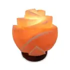 Rose Himalayan Pink Salt Lamp Carved Flower Rock Crystal Light Bulb