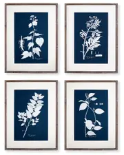 Napa Home & Garden Cyano Botanical Leaf Study Set