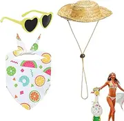 Porch Geese Outfits, Garden Geese Costume, Clothes Sunglasses Straw Hat For Cement Animal Home Furnishings Window Display Poolside Beach Party