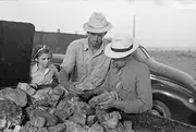Petrified Forest Tourism Na Tourist Buying A Piece of Petrified Wood Near The Petrified Forest National Park Arizona Photograph by Russell Lee August 1939 Poster Print by (24 x 36)