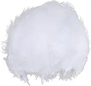 F Fityle 100Pcs Natural Chicken Feathers 2-4 Inch Crafting Feathers for Wedding Party Decorations and DIY Crafting Making - White
