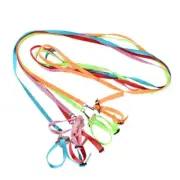Parrot Harness and Leash 8-Shape Flying Rope for Macaw Parakeet Cockatiel