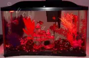 Remote Controlled Fish Tank LED Lights 20 Color/Motion Options 16inch Line Strip